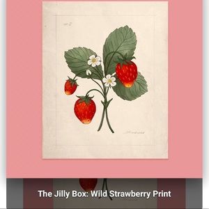 Wild Strawberry Print from the Jilly Box